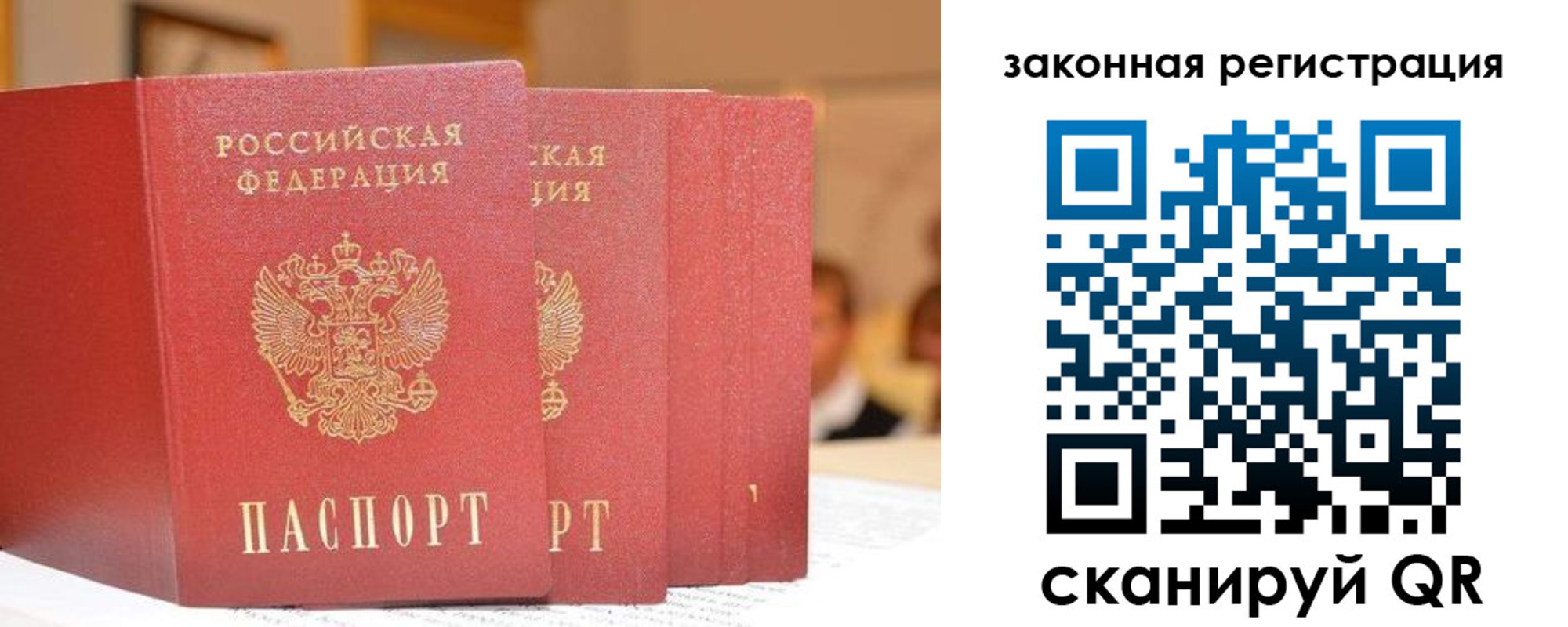прописка поиск в Нытве